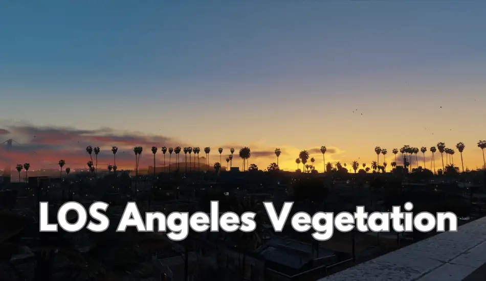LOS Angeles Vegetation