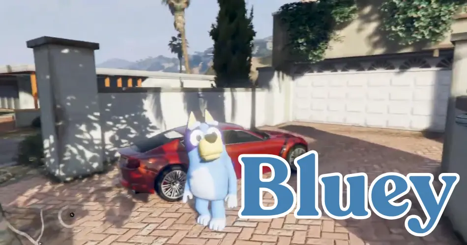 Bluey ADD on PED