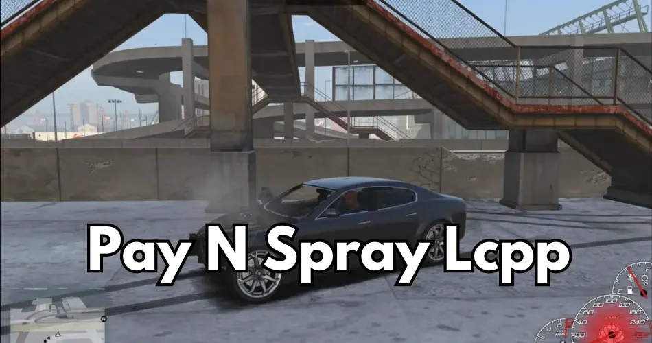 PAY N Spray Lcpp