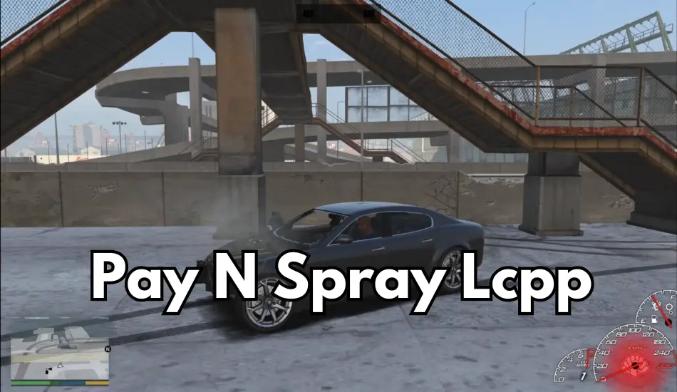PAY N Spray Lcpp